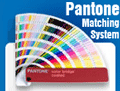 PMS Colors, PMS Guide, Pantone Matching System, Pantone Colors... Click Here to View!
